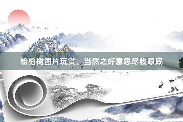 桧柏树图片玩赏，当然之好意思尽收眼底